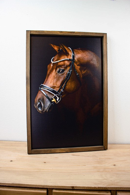 Brown Horse Dark Background - bertofonsi