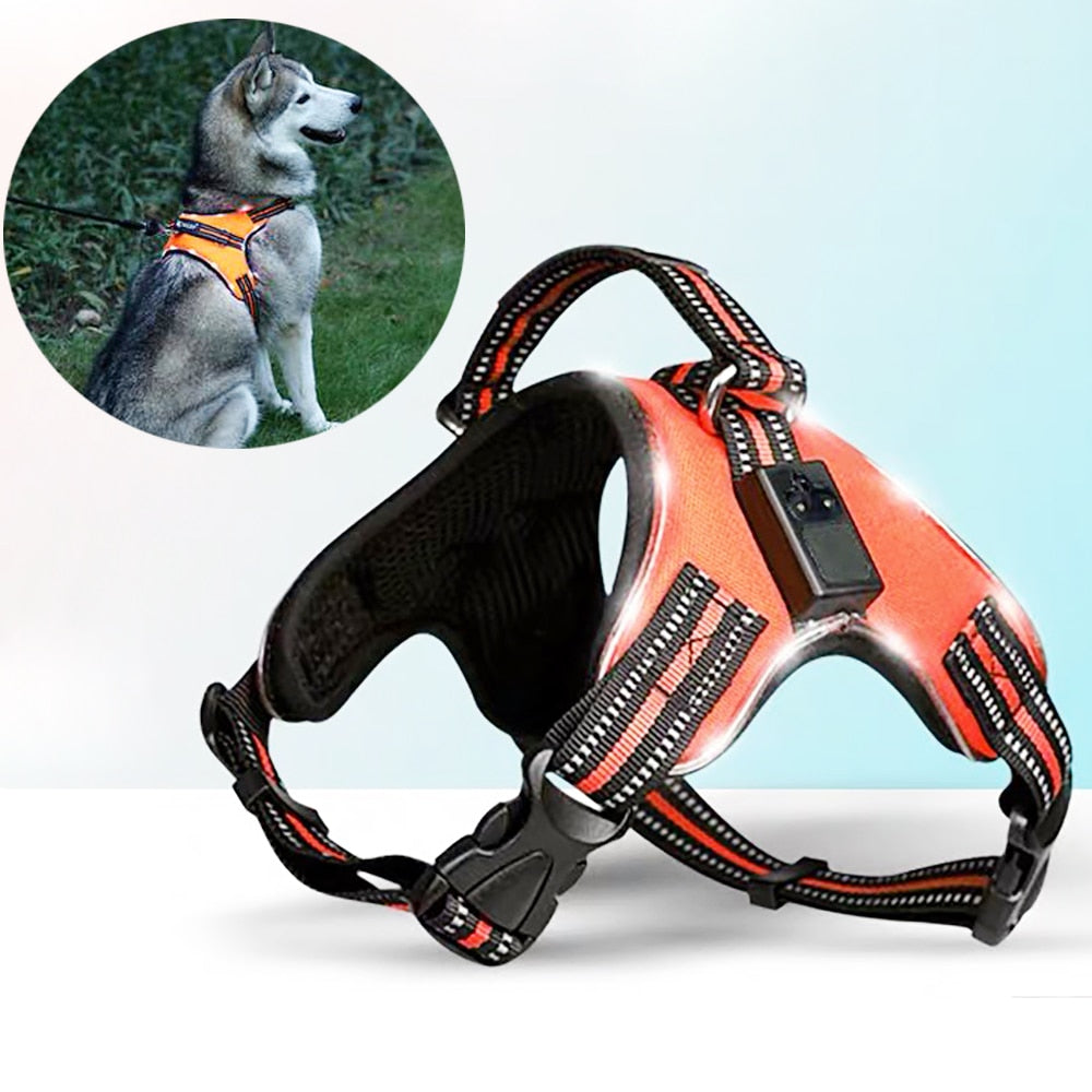 Rechargeable LED Harness for Pets Dog Tailup Nylon Led Flashing Light Dog Harness Collar Pet Safety Leash Belt Dog Accessories - bertofonsi