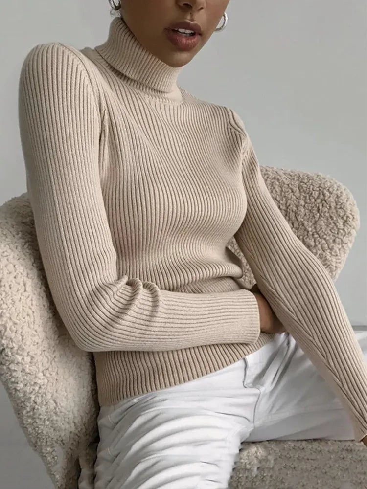 2023 Basic Turtleneck Women Sweaters Autumn Winter Thick Warm Pullover Slim Tops Ribbed Knitted Sweater Jumper Soft Pull Female - bertofonsi