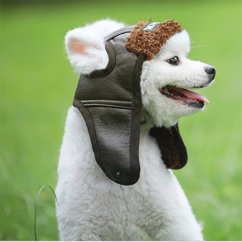 Winter Warm Pet Dogs Hat Puppy Warm Comfortable Handsome Poilt Cap Autumn Winter Cashmere - bertofonsi