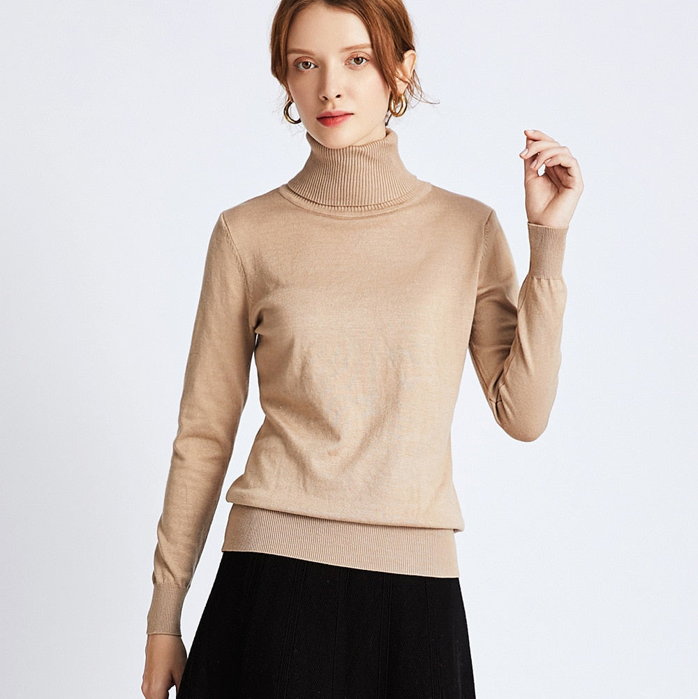 HLBCBG chic Autumn winter thick Sweater Pullovers Women Long Sleeve casual warm basic turtleneck Sweater female knit Jumpers top - bertofonsi
